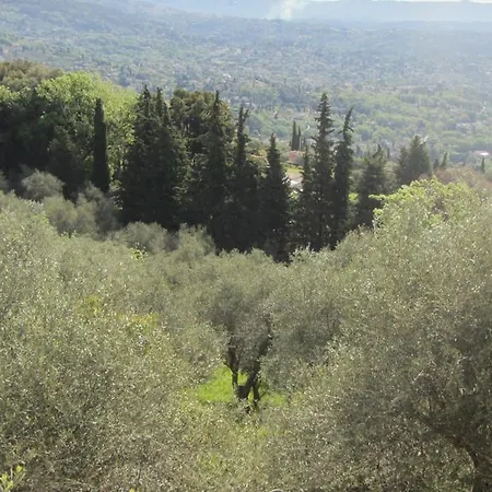 Des Oliviers * Le Tignet